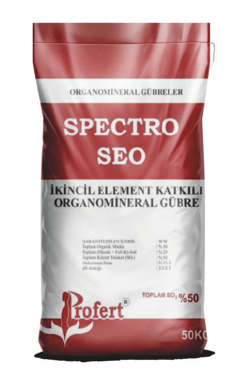 SPECTRO SEO